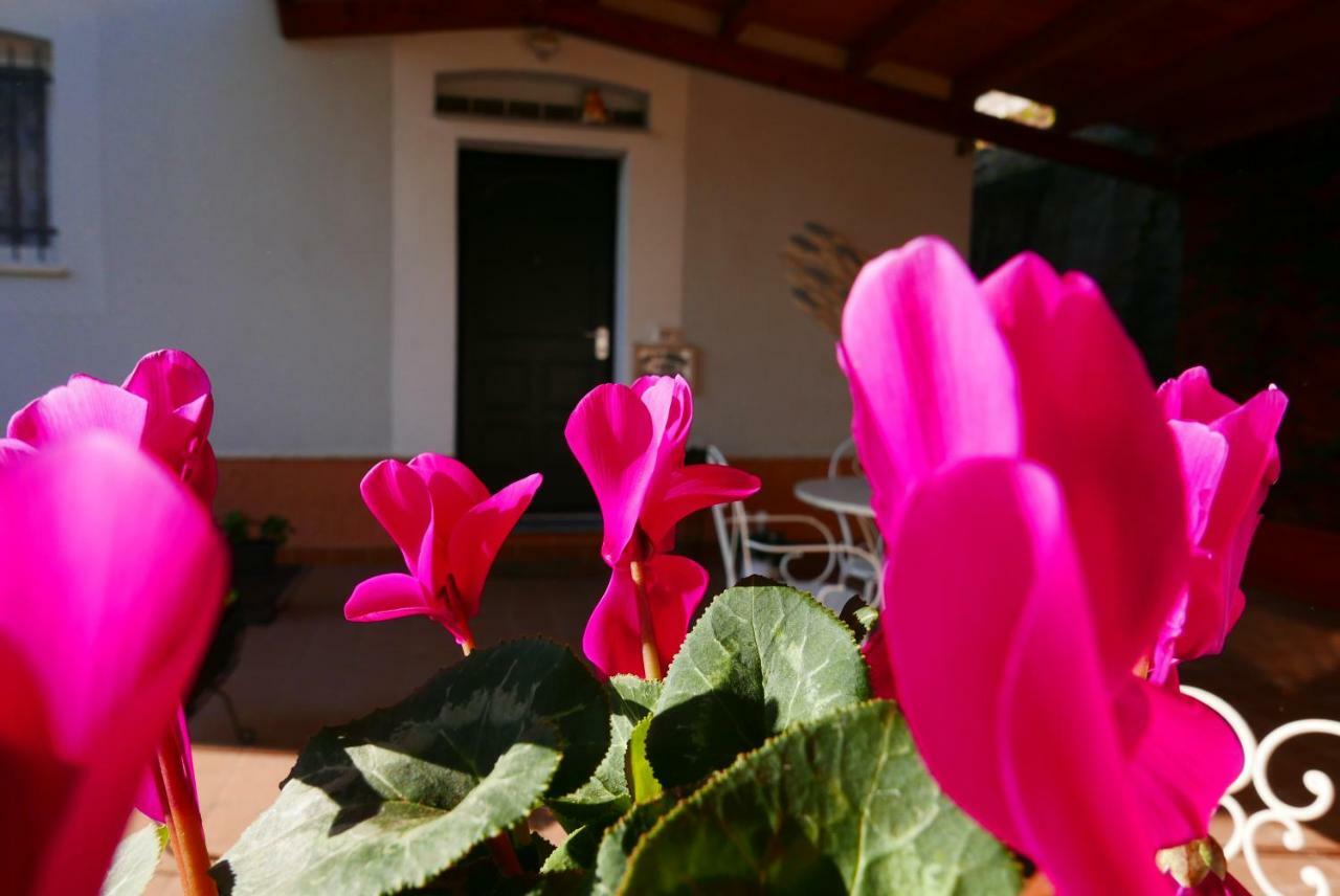 B&B Ai Tre Archi Spotorno Zewnętrze zdjęcie